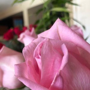 Meet your Posher, Sabina